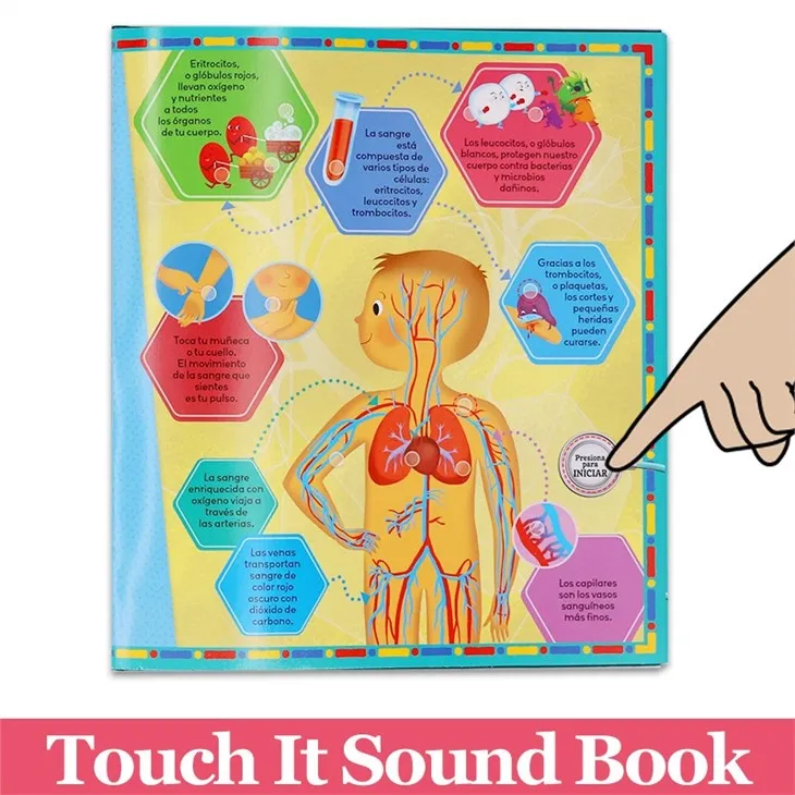 Fancy Learning Human Body Kids Book With Music Custoimzed Bulk
